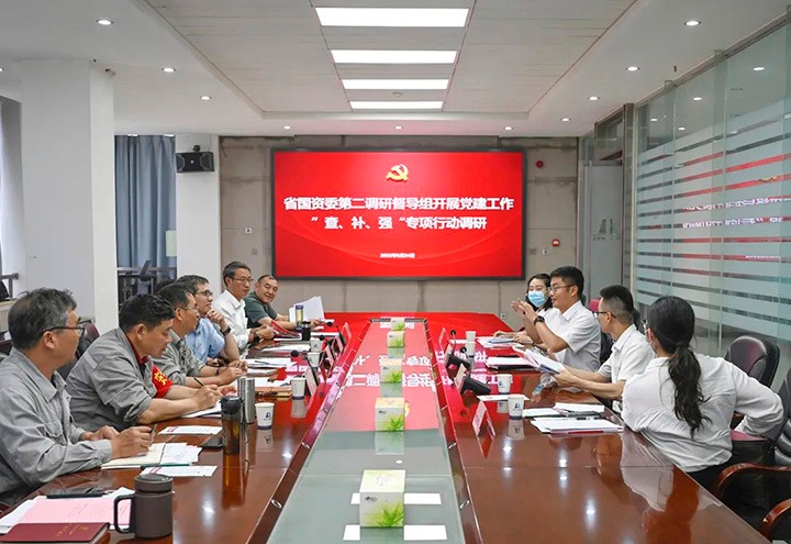 省国资委第二调研督导组到云煤（LETOU乐投）集团发展党建工作“查、补、强”专项行动调研