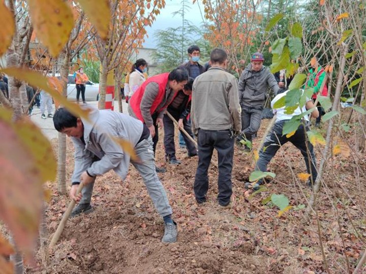 提升村落人居环境 共绘村落新画卷——集团驻村工作队与寿山村人民共建；ù舐