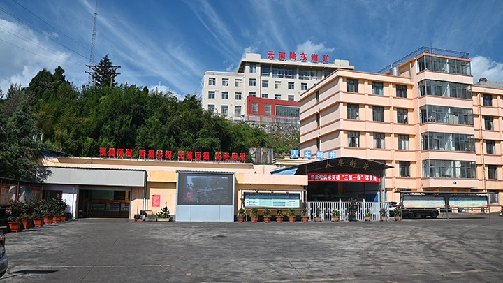 【基层党建幼隐语】强化党建引领，推动融合中心工作提质增效
